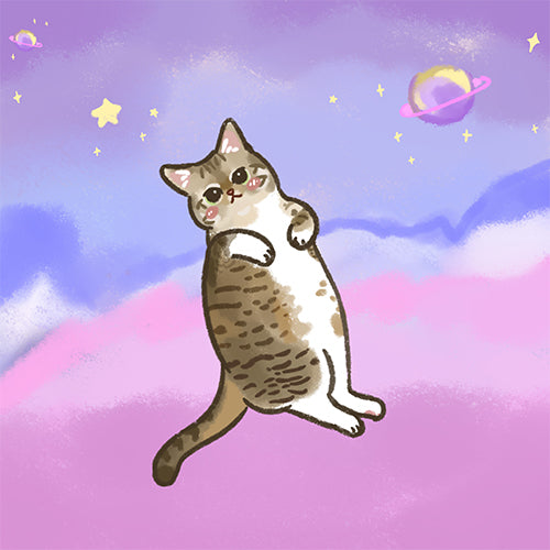 貓貓自畫像