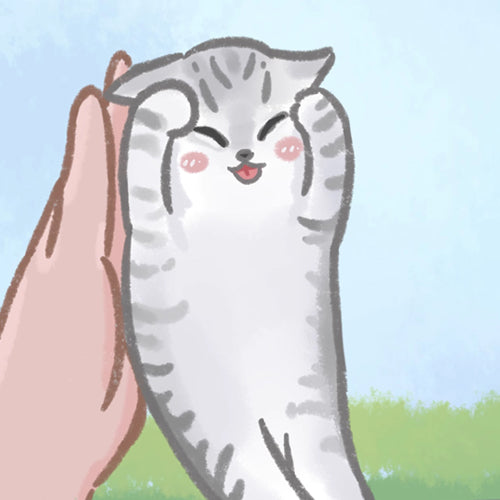 貓貓自畫像