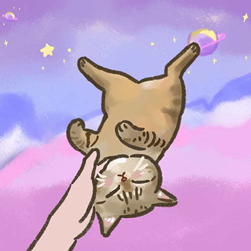 貓貓自畫像