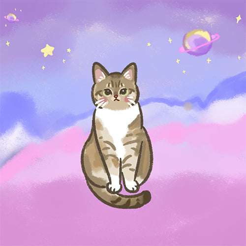 貓貓自畫像