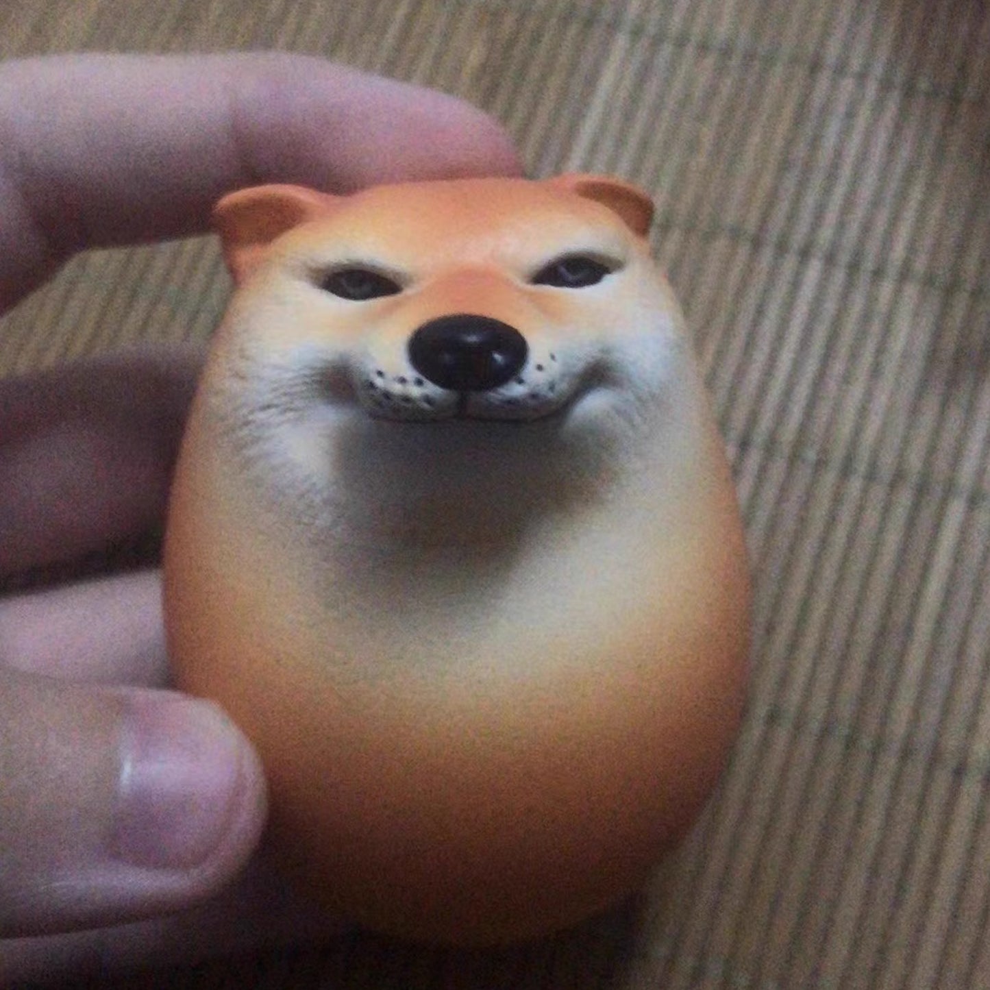 雞蛋Cheems模型