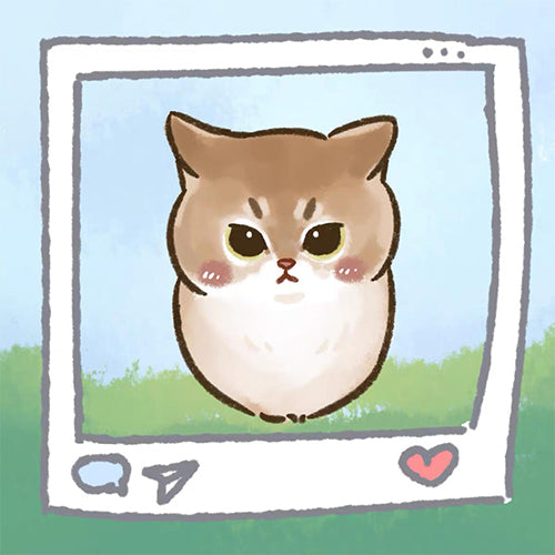 貓貓自畫像