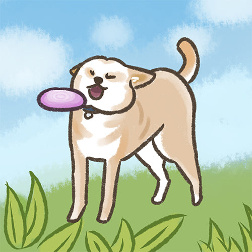 狗狗自畫像