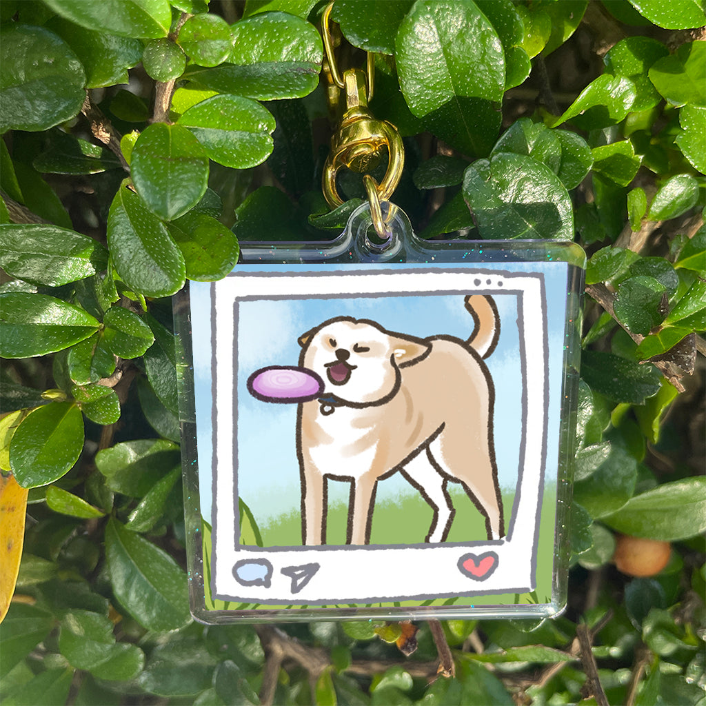 飛盤狗狗掛飾